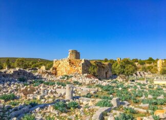 The Revolt of the Comneni part 26