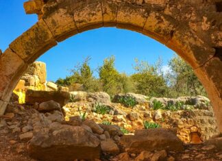 The Revolt of the Comneni part 12