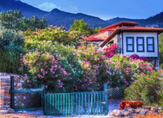 Close Encounters with Danger