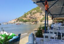 A Journey Home Turns Dangerous