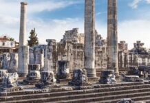 Suspicious Behavior from the Guide